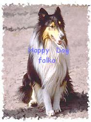 Happy Dog falka honlapja!